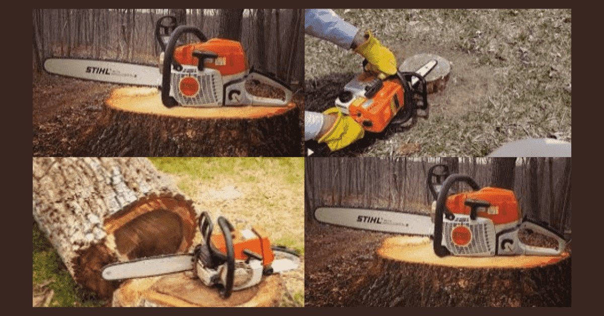 how to remove a stump with a chainsaw